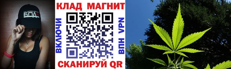 Названия наркотиков Ильский КОКАИН Псилоцибиновые грибы ГАШ