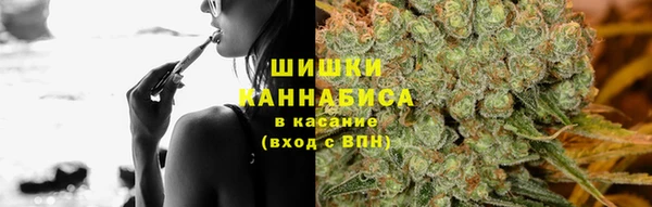 гидра Няндома