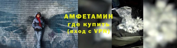 метадон Богданович