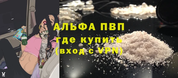 метадон Богданович