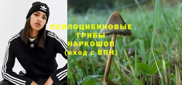 синтетический гашиш Богородицк