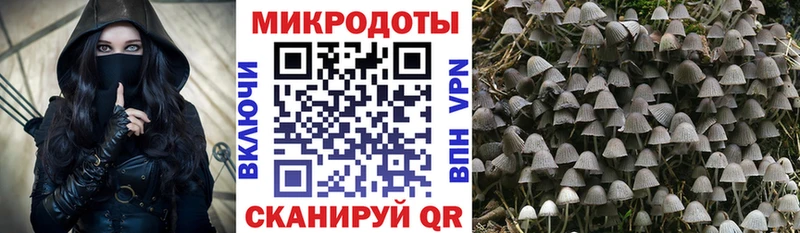 хочу   Ильский  Псилоцибиновые грибы MAGIC MUSHROOMS 