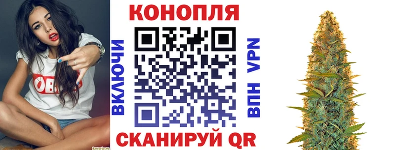 Канабис Amnesia  MEGA ссылка  Ильский  купить  